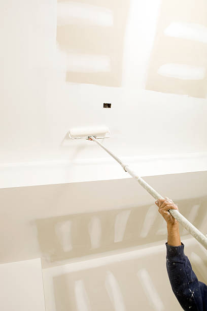 Best Industrial Mold Remediation  in Start, LA