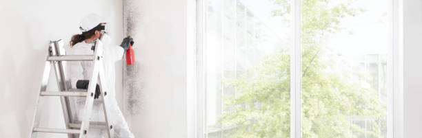 Environmental Consulting for Mold Prevention in Start, LA